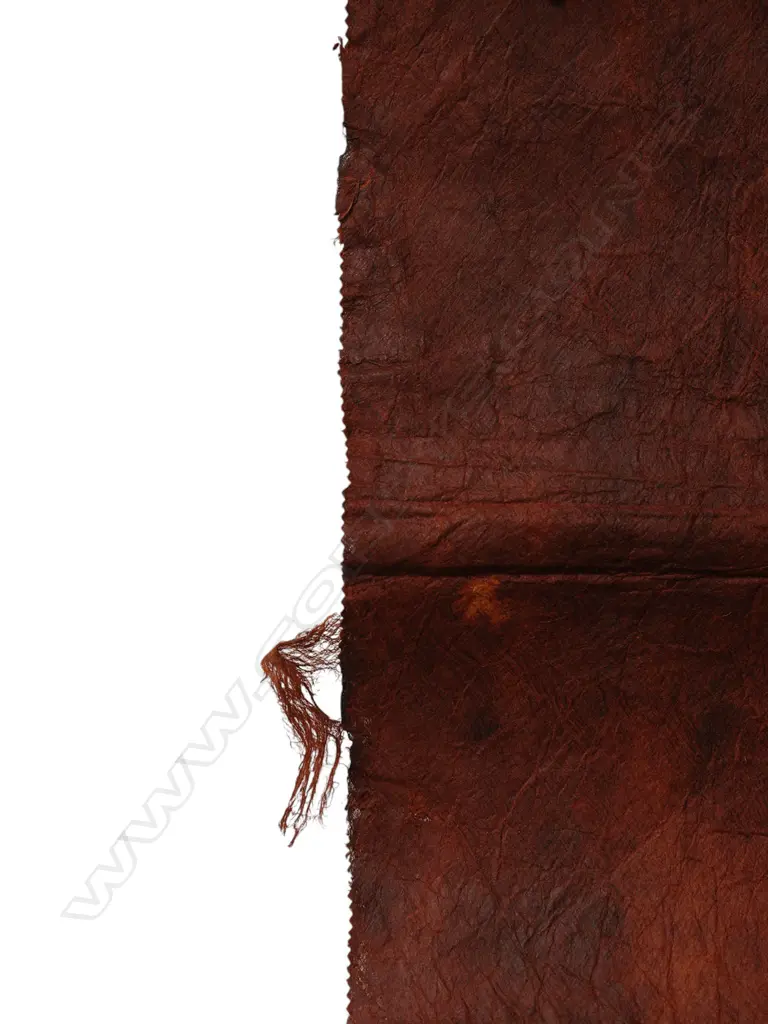 Unidentified maker - Ngatu, Image 1++